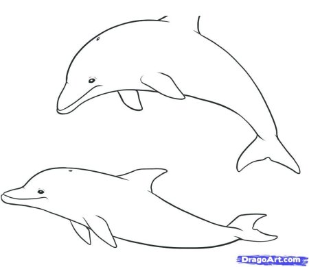 Пошаговое рисование для детей Дельфин