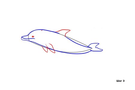 Дельфин поэтапное рисование