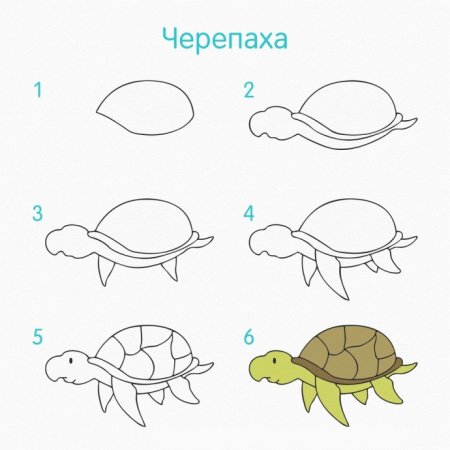 Поэтапное рисование морского конька