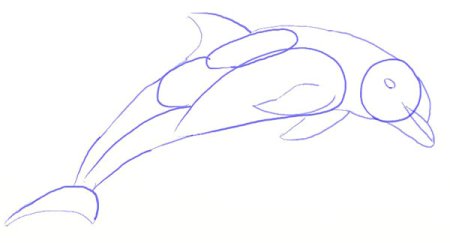 Горизонтальный шаблон дельфина