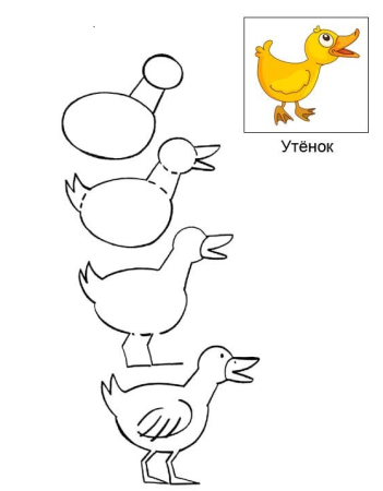 Поэтапное рисование уточки