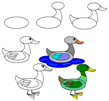 Этапы рисования уточки
