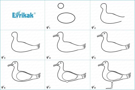 Утенок пошаговое рисование
