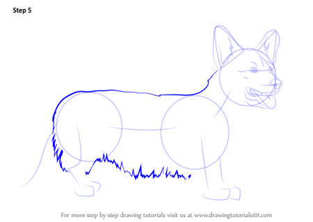 Поэтапное рисование собаки корги