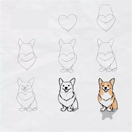 Корги нарисовать пошагово