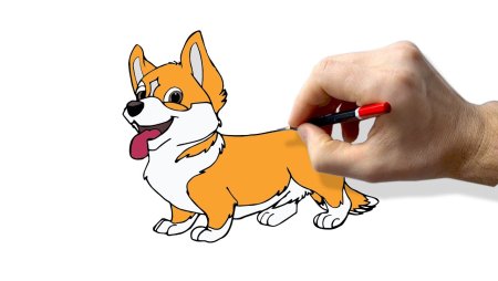 Корги легкая