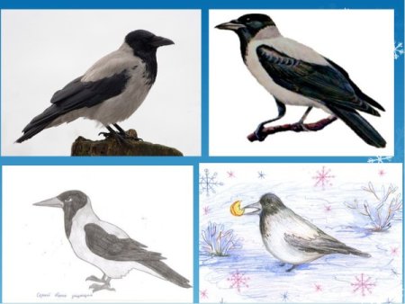 Как нарисовать ворону поэтапно