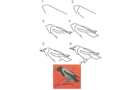 Ворона пошаговое рисование для детей