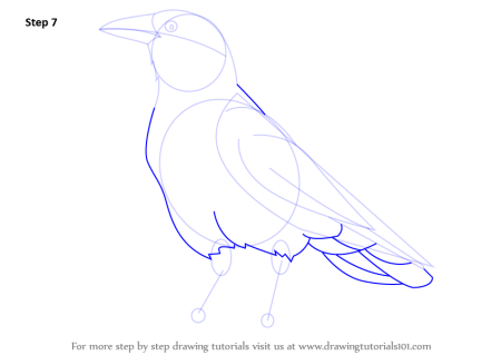 Конструктивное рисование птиц