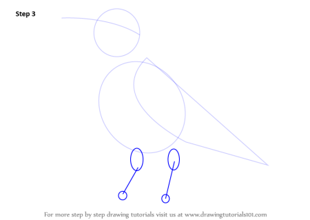 Поэтапное рисование Грача