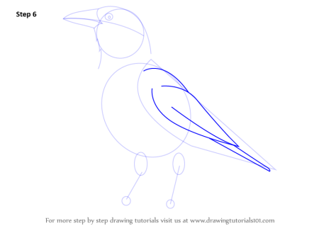 Уроки рисования птиц