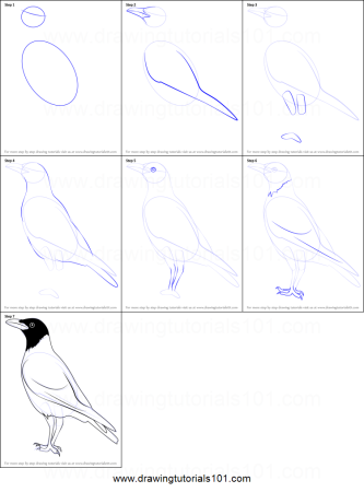 Поэтапное рисование ворона