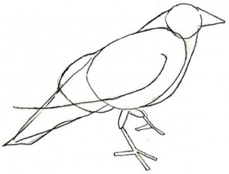 Как рисовать кукушку