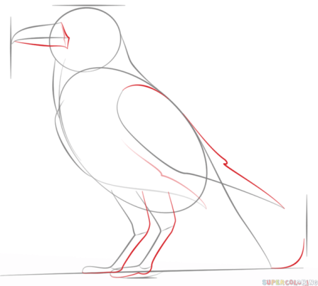 Ворона пошаговое рисование