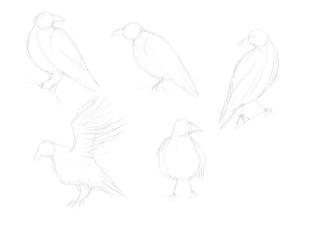 Грач карандашом