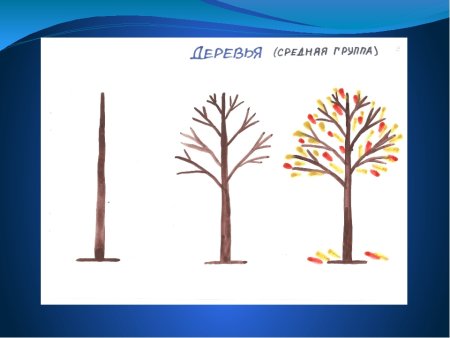 Рисование дерева в средней группе