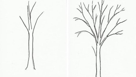 Последовательное рисование дерева