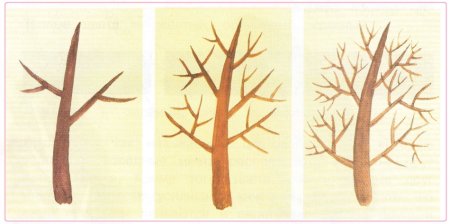 Рисование дерева в средней группе