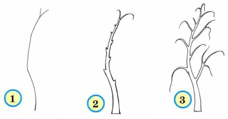 Рисунок березы пошагово