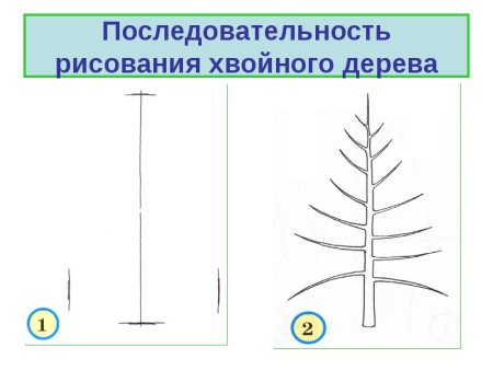 Технологическая карта последовательности рисования дерева