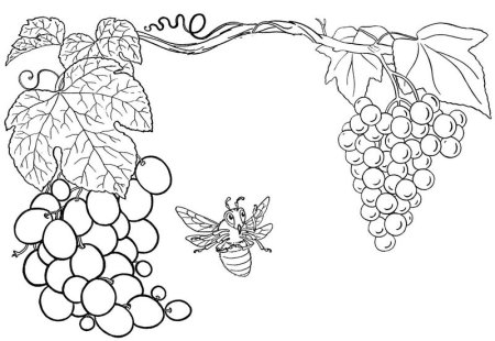 Виноградная лоза орнамент Грузии Ермолова