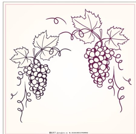 Гроздь винограда рисунок