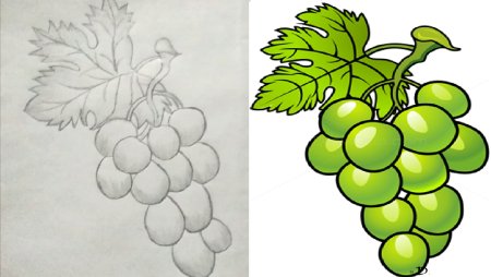 Виноград черно белый