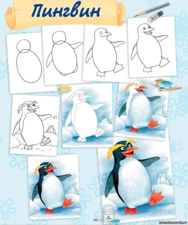 Пингвин рисунок поэтапно (48 фото)