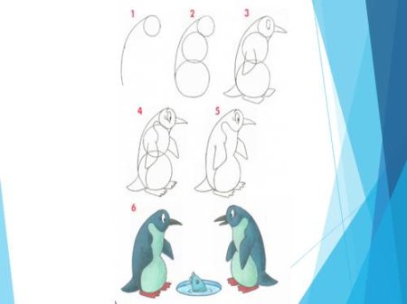 Рисование пингвина