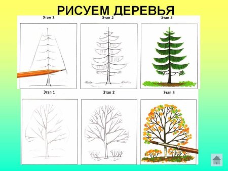 Этапы рисования дерева для дошкольников