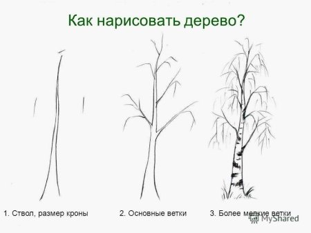 Поэтапное рисование дерева