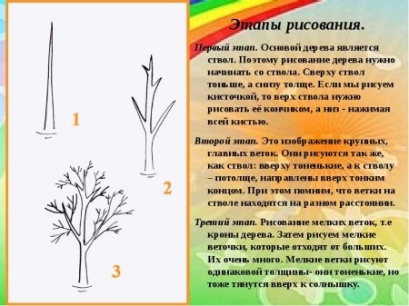 Поэтапное рисование дерева