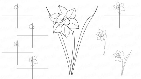 Рисунок цветок поэтапно (50 фото)