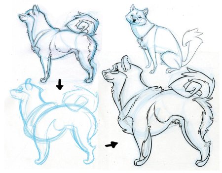 Сиба ину туториал