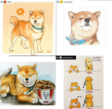 Сиба ину рисунок