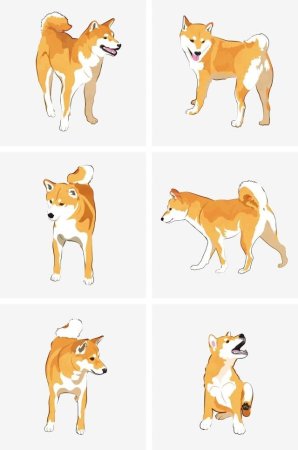 Акита ину раскраска для детей