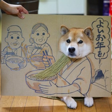 Акита рисунок в профиль