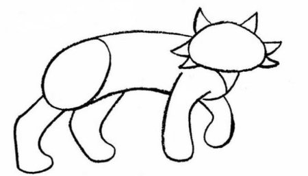 Пошаговое рисование рыси