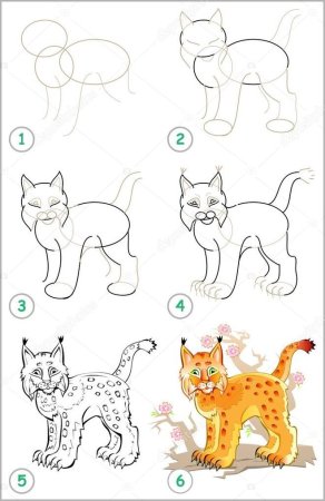 Поэтапно рисование Рыся