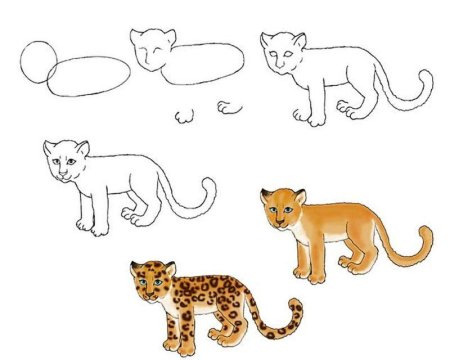 Рисование Рысь