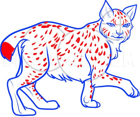 Раскраска шлёпа каракал