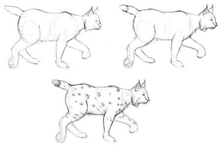 Нарисовать Рысь