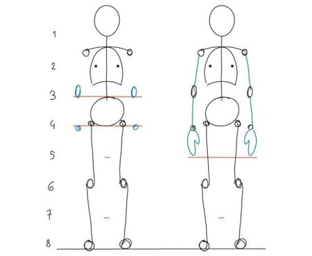 Как рисовать человека пропорции тела