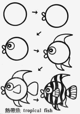 Животные из кругов