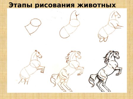 Этапы рисования