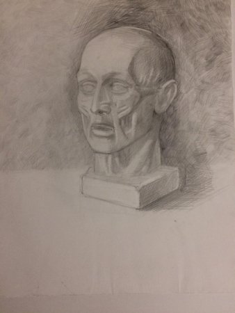 Сократ голова гипсовая МАРХИ