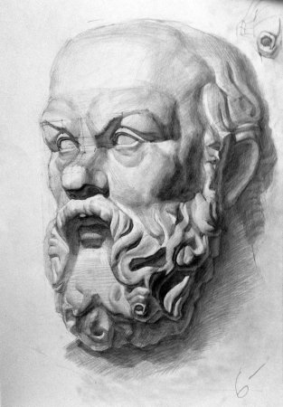 Гипсовая голова Геракла рисунок