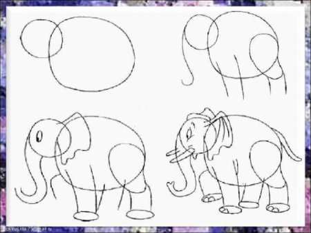 Рисунок слон для детей поэтапно (52 фото)