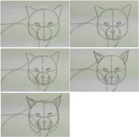 Животные для рисования