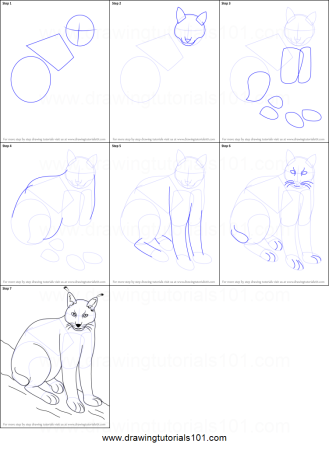 Поэтапное рисование рыси для детей